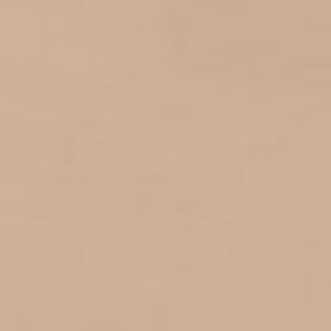 Meet your Posher, Layla